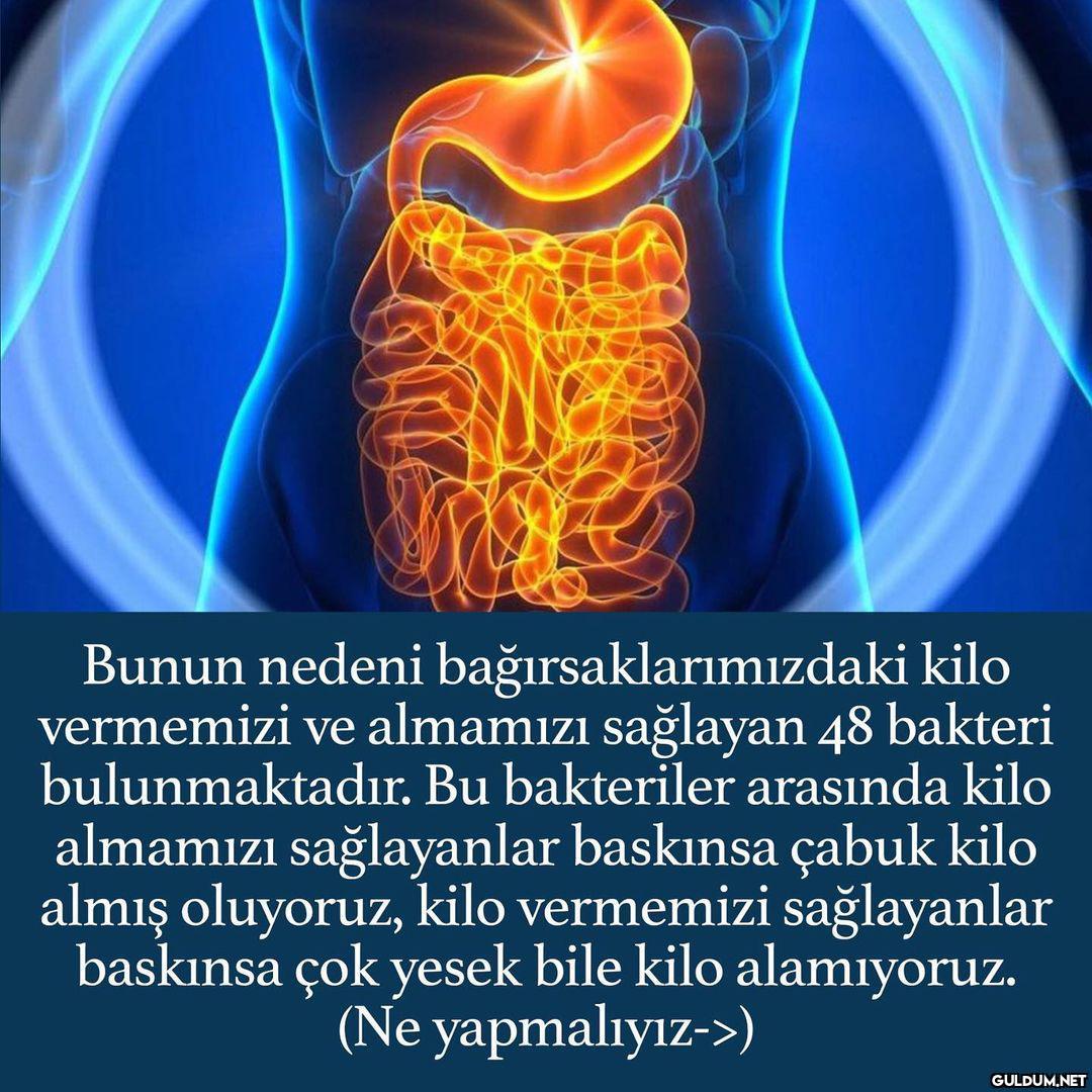 Firmanın instası->...