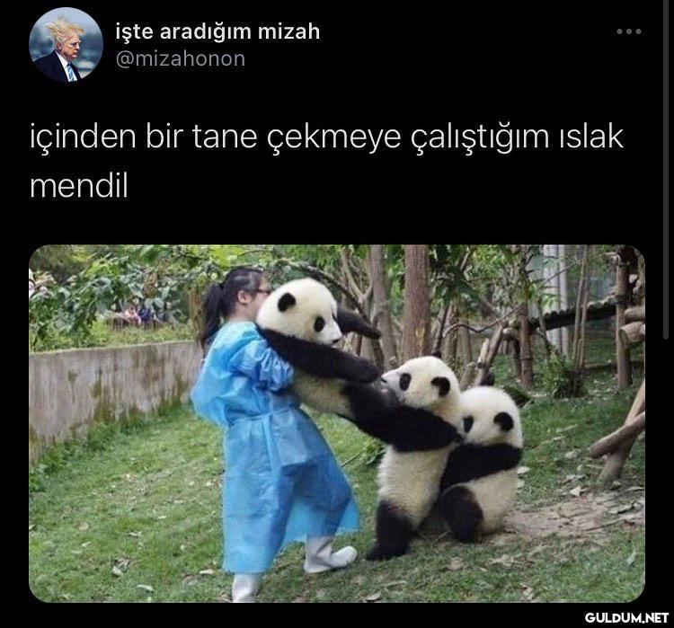 işte aradığım mizah...