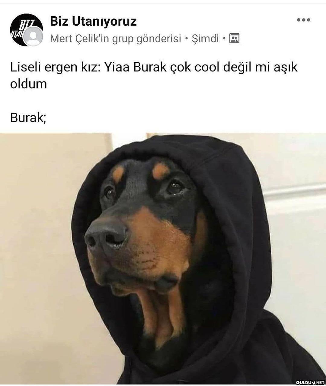 Biz Utanıyoruz BI VITAT TA...