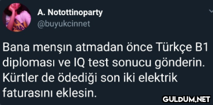 A. Notottinoparty...