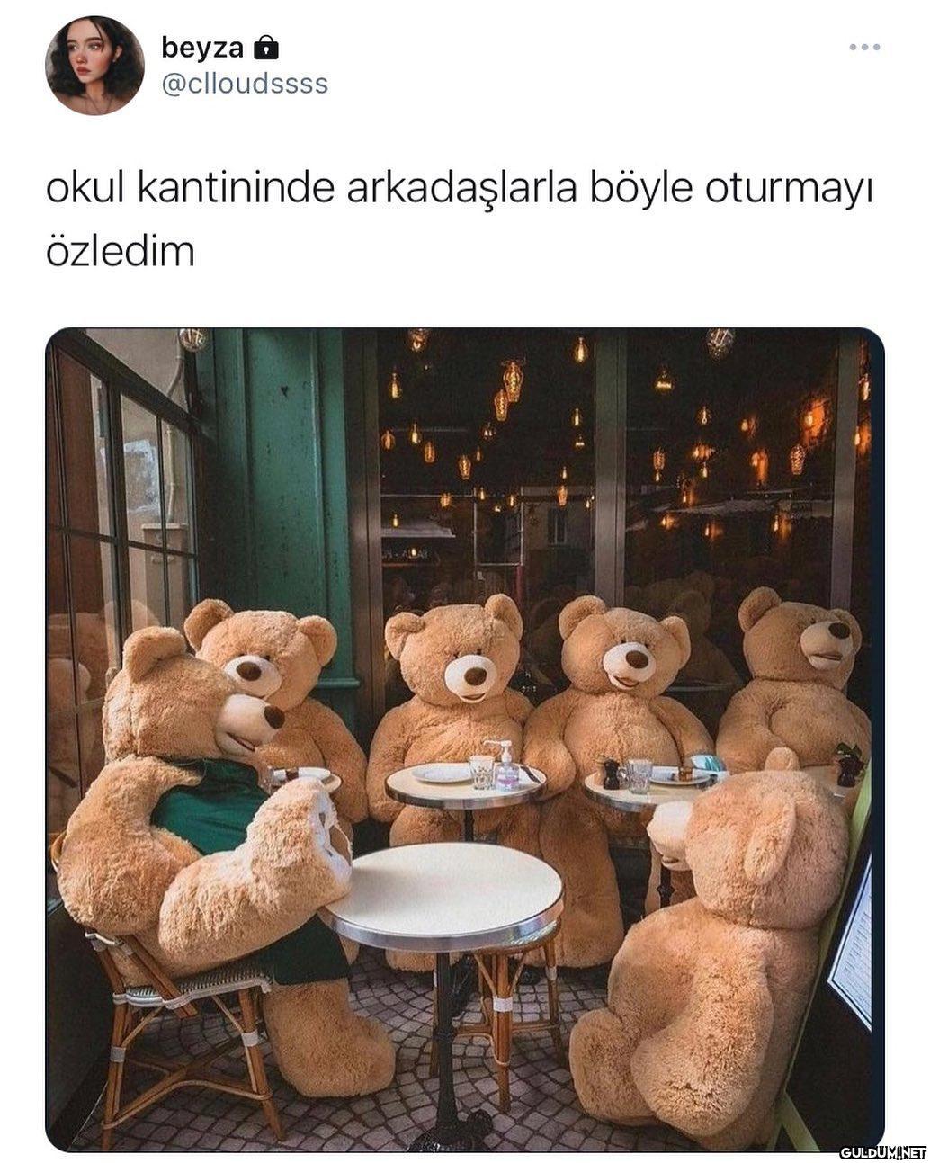 benim gibi temas...