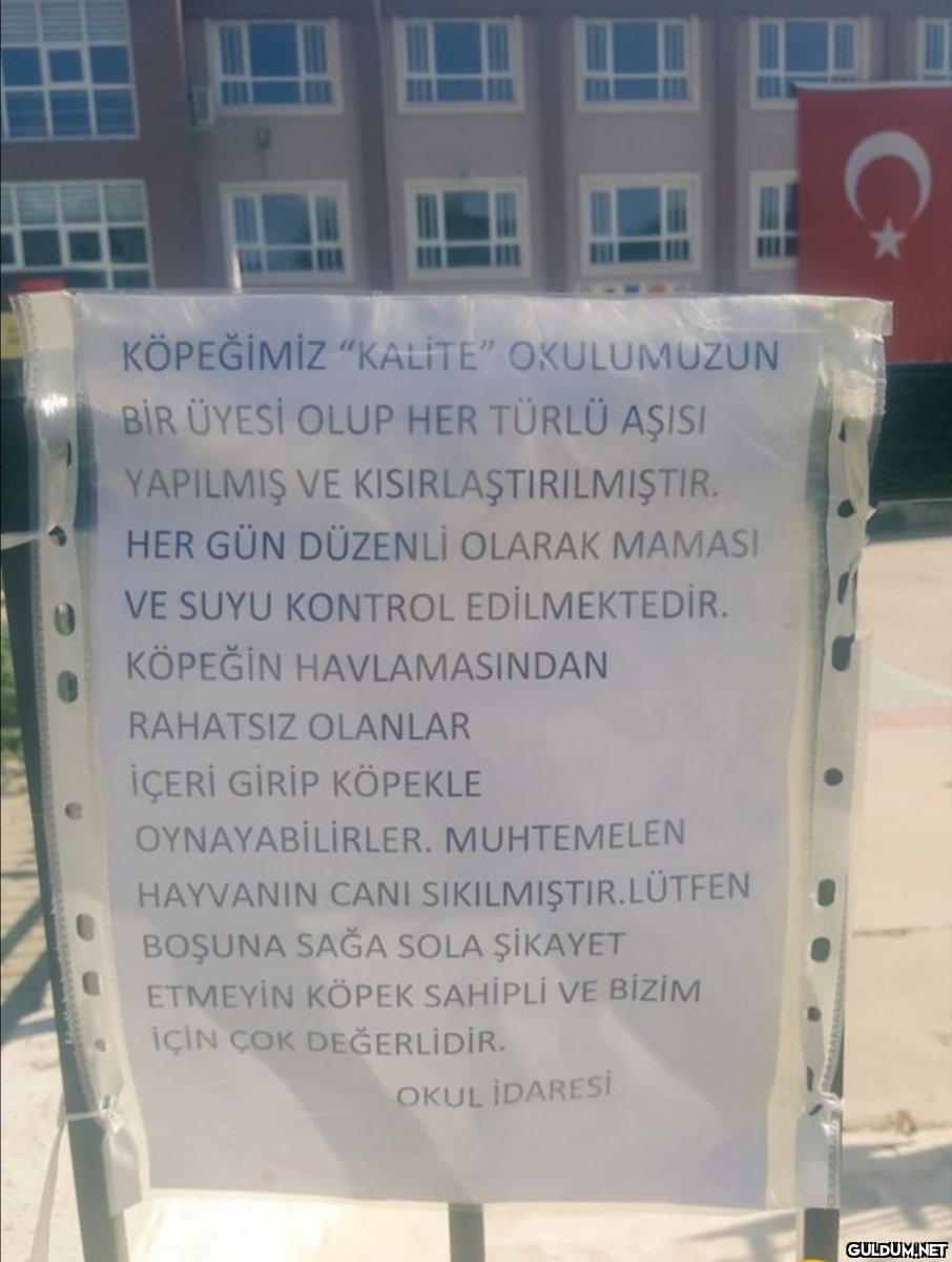 Okul gibi okul    CAK...