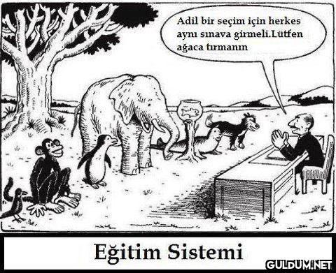 Bence çok iyi bir sistem...