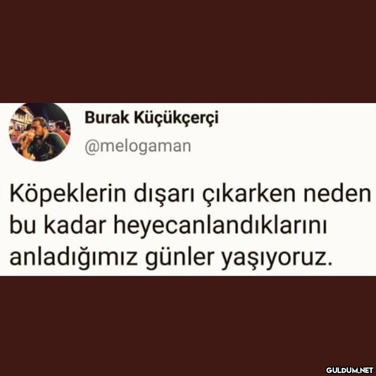 Burak Küçükçerçi...