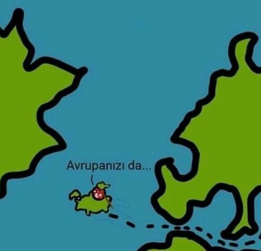 Ortadoğunuzu da sikim ...