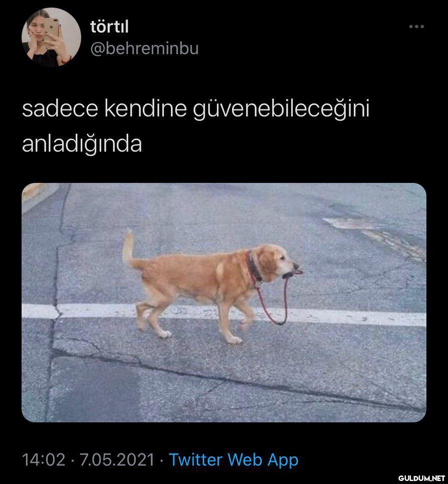 törtıl @behreminbu sadece...