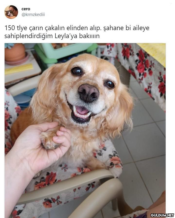 cero @krmzkediii 150 tlye...