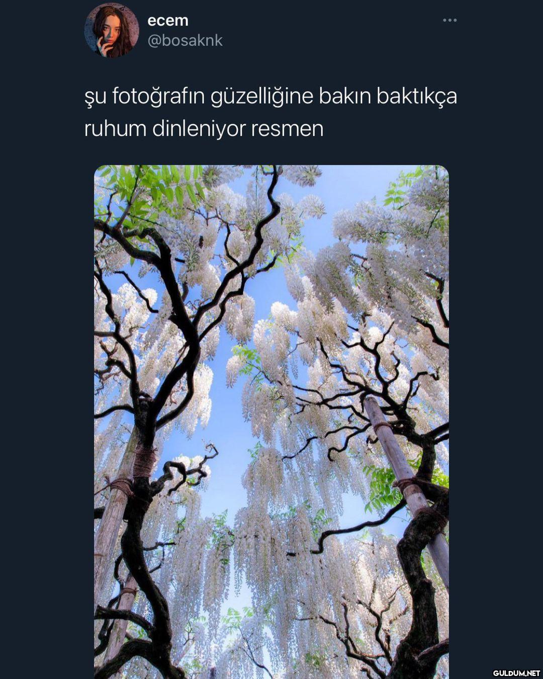 rahatlama seansı yana...