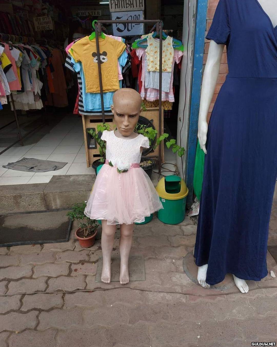 anlamsız fotoğraflar 12341...