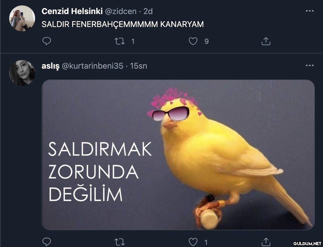 Denk gelişler  Cenzid...