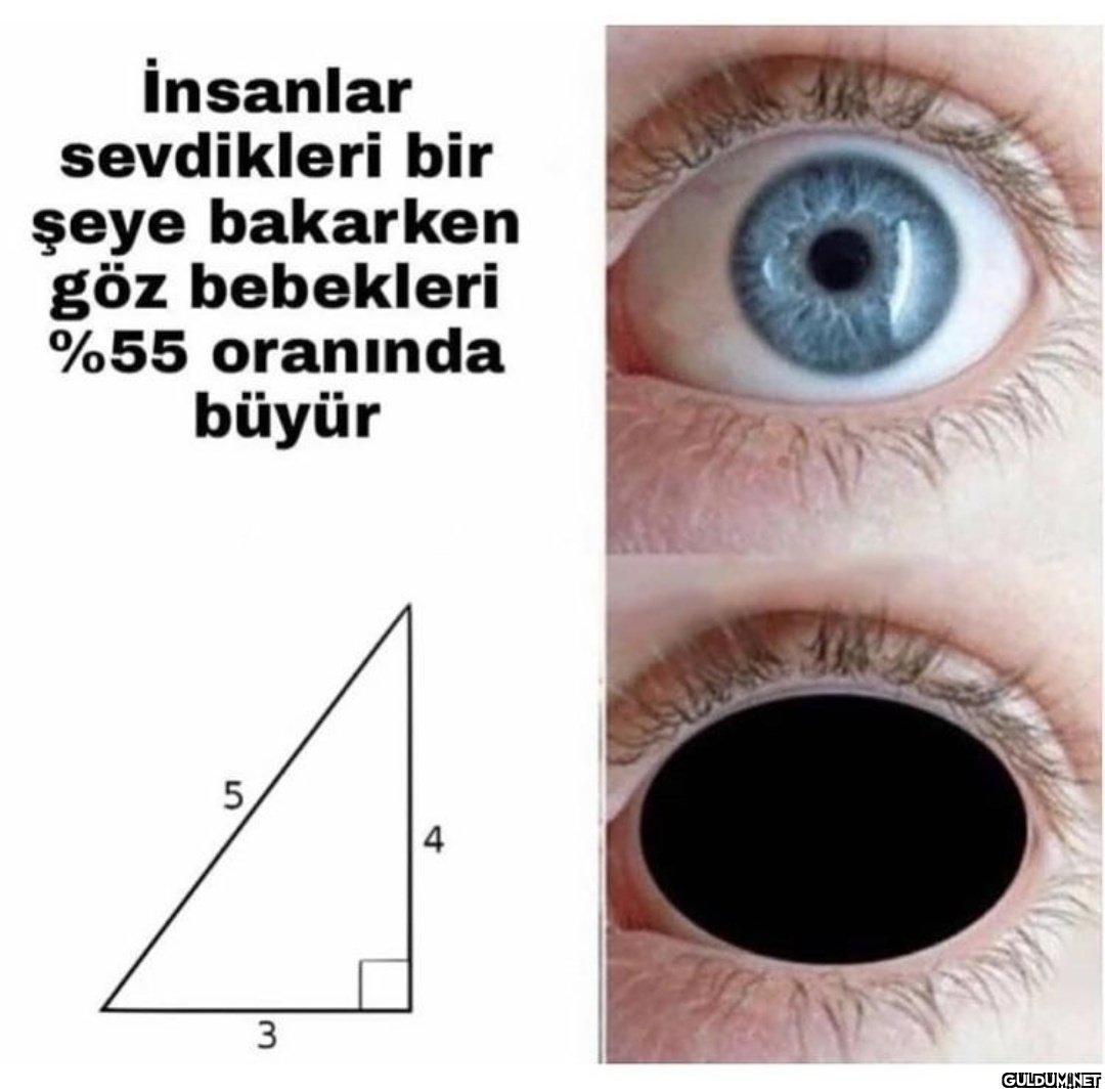 İnsanlar sevdikleri bir...