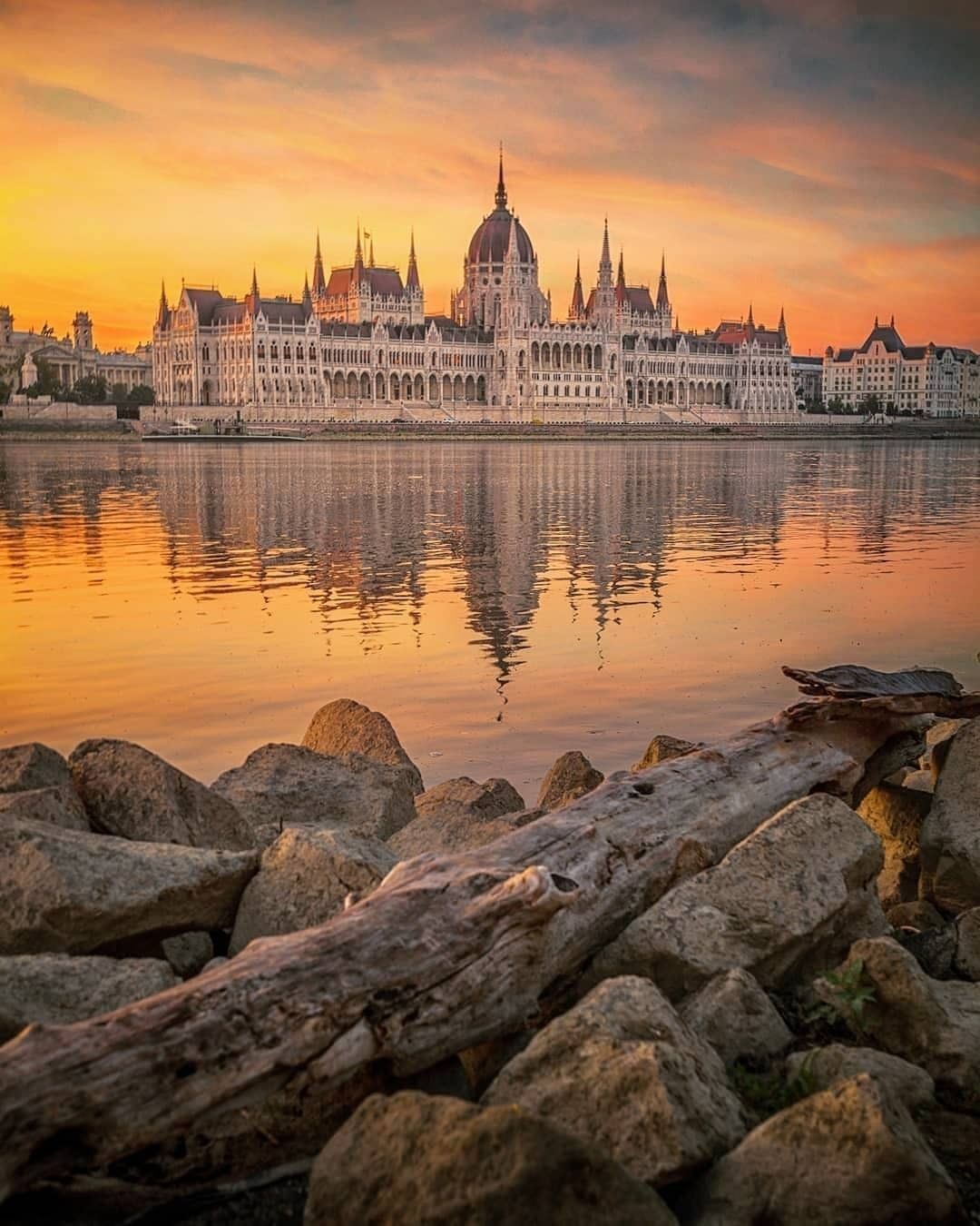 Who's your sunset-loving...