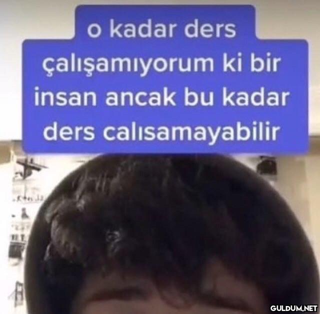 o kadar ders çalışamıyorum...