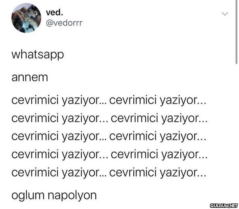 ved. @vedorrr whatsapp...