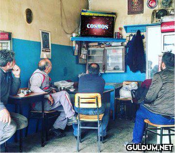 @satrayni    COSMOS    Kaynak