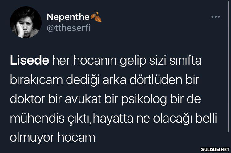 Nepenthe @ttheserfi Lisede...