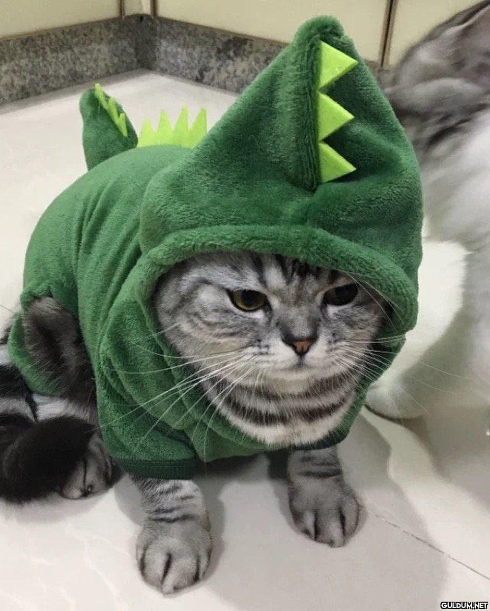 seni öldürmeyen şey...