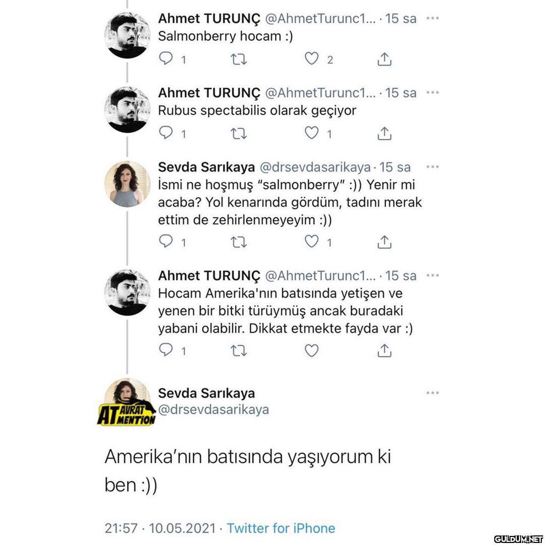 Sevda Sarıkaya...