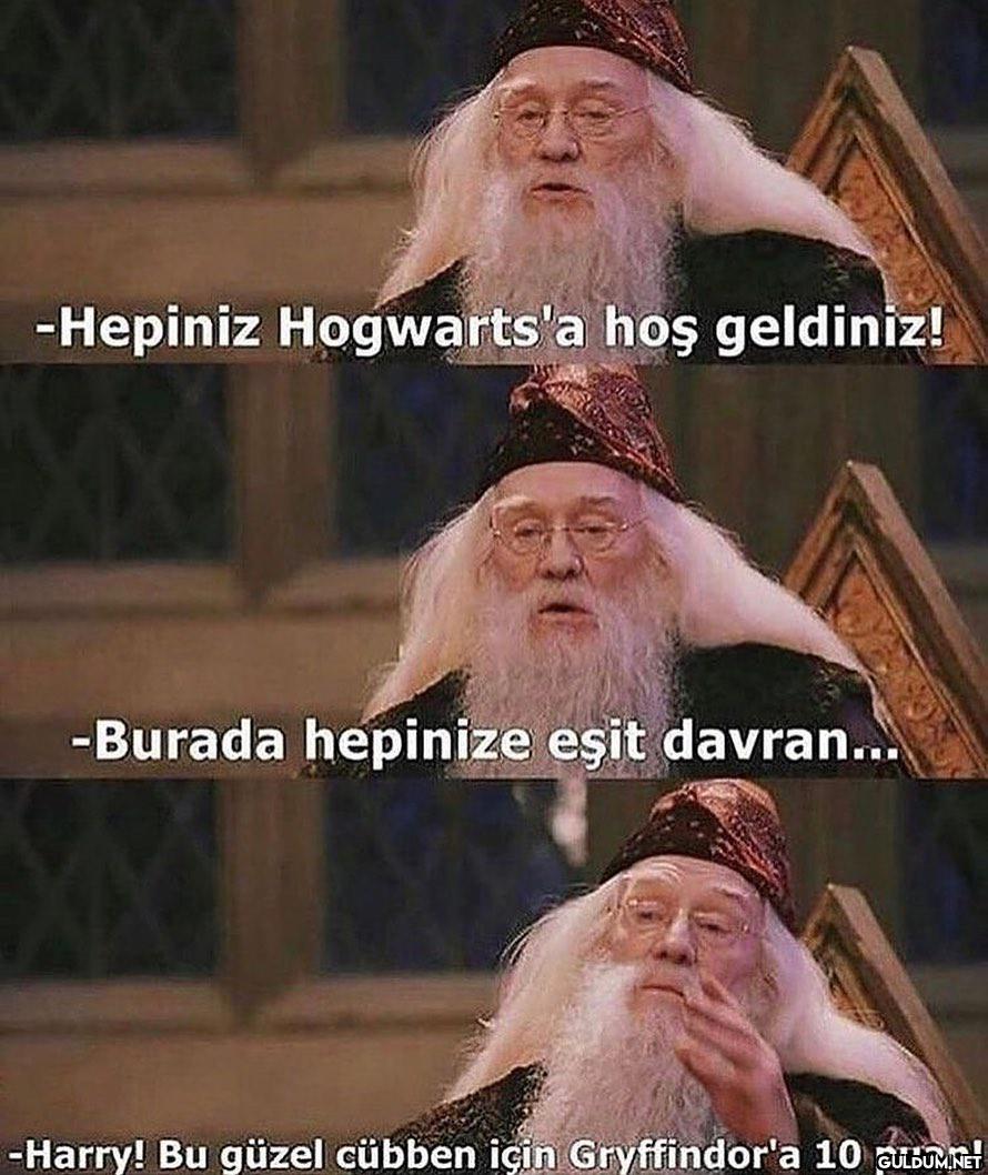 -Hepiniz Hogwarts'a hoş...