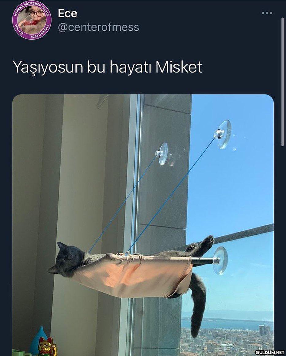 Şu kadar huzurlu olsak...