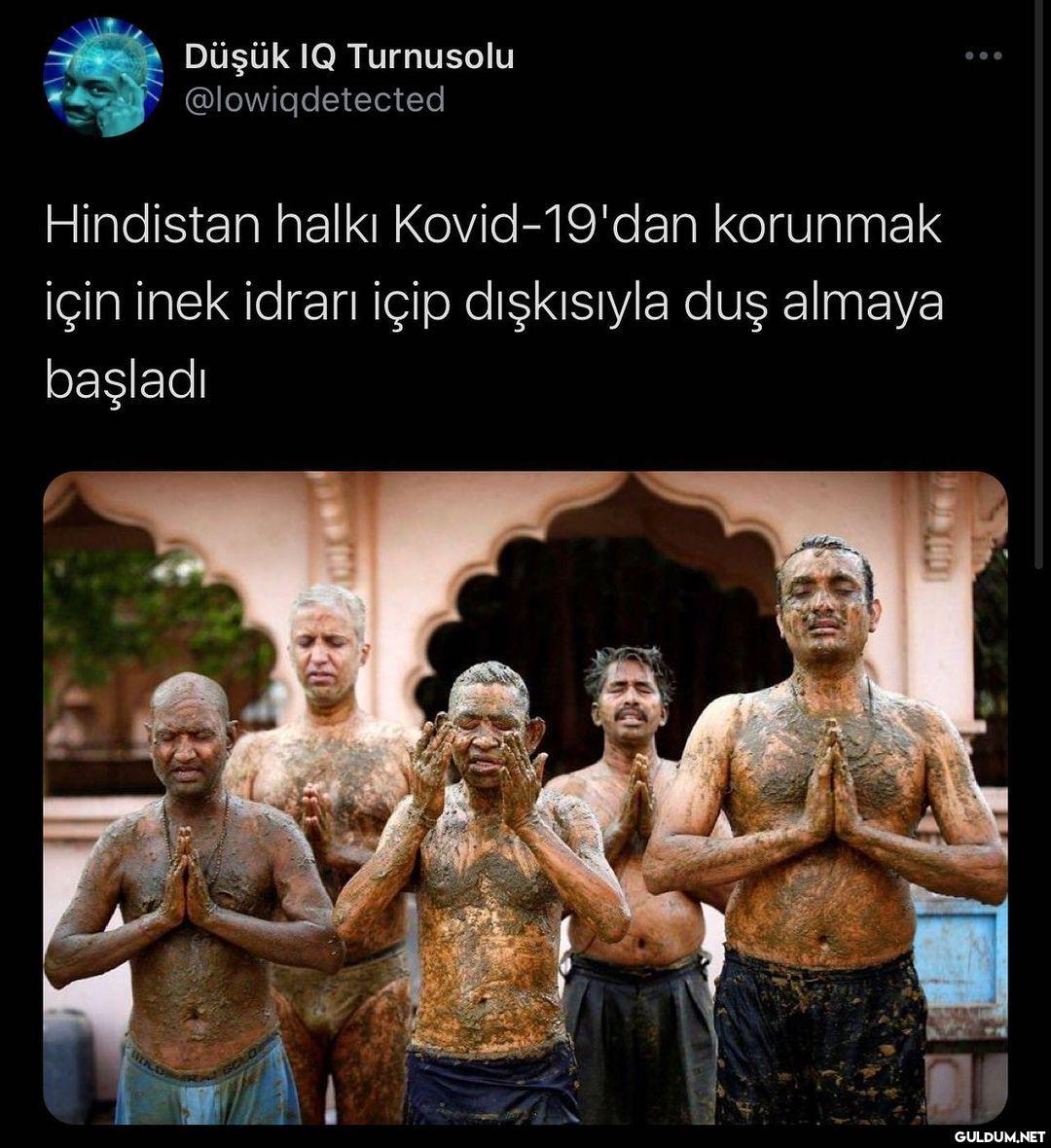 Düşük IQ Turnusolu...