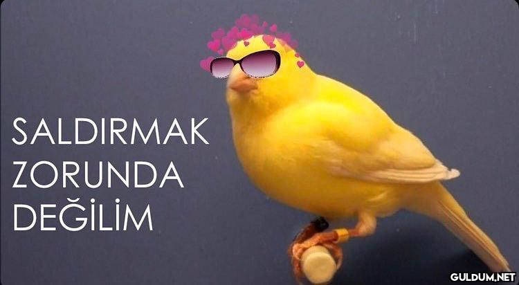 Tabeeeee kızımmmmm ...