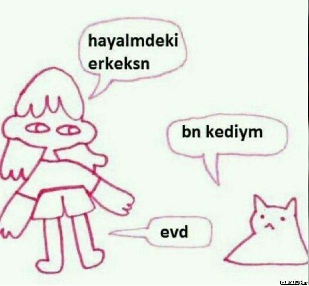 hayalmdeki erkeksn bn...
