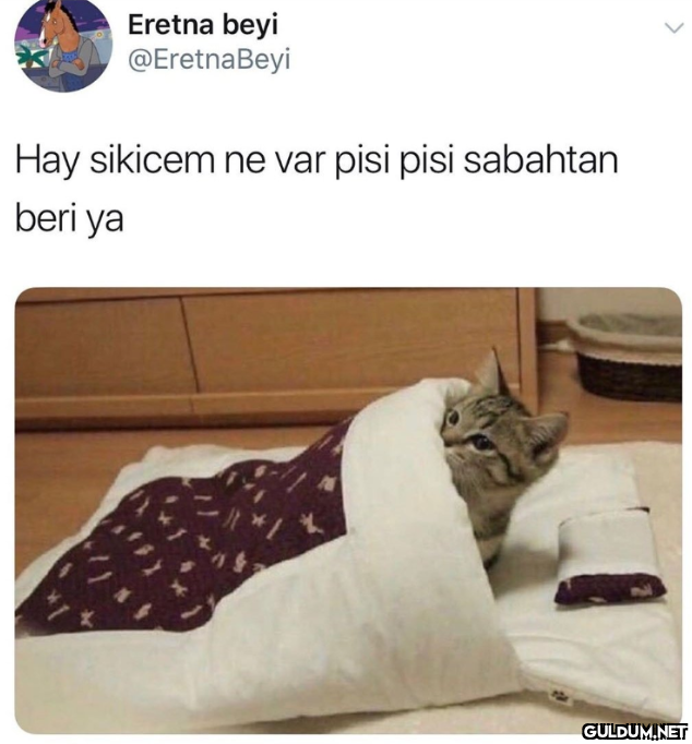 telegram kanalımda...