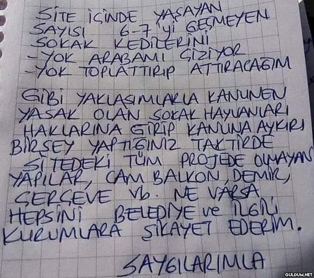 SITE İSİNDE YAŞAYAN 6-7'yi...