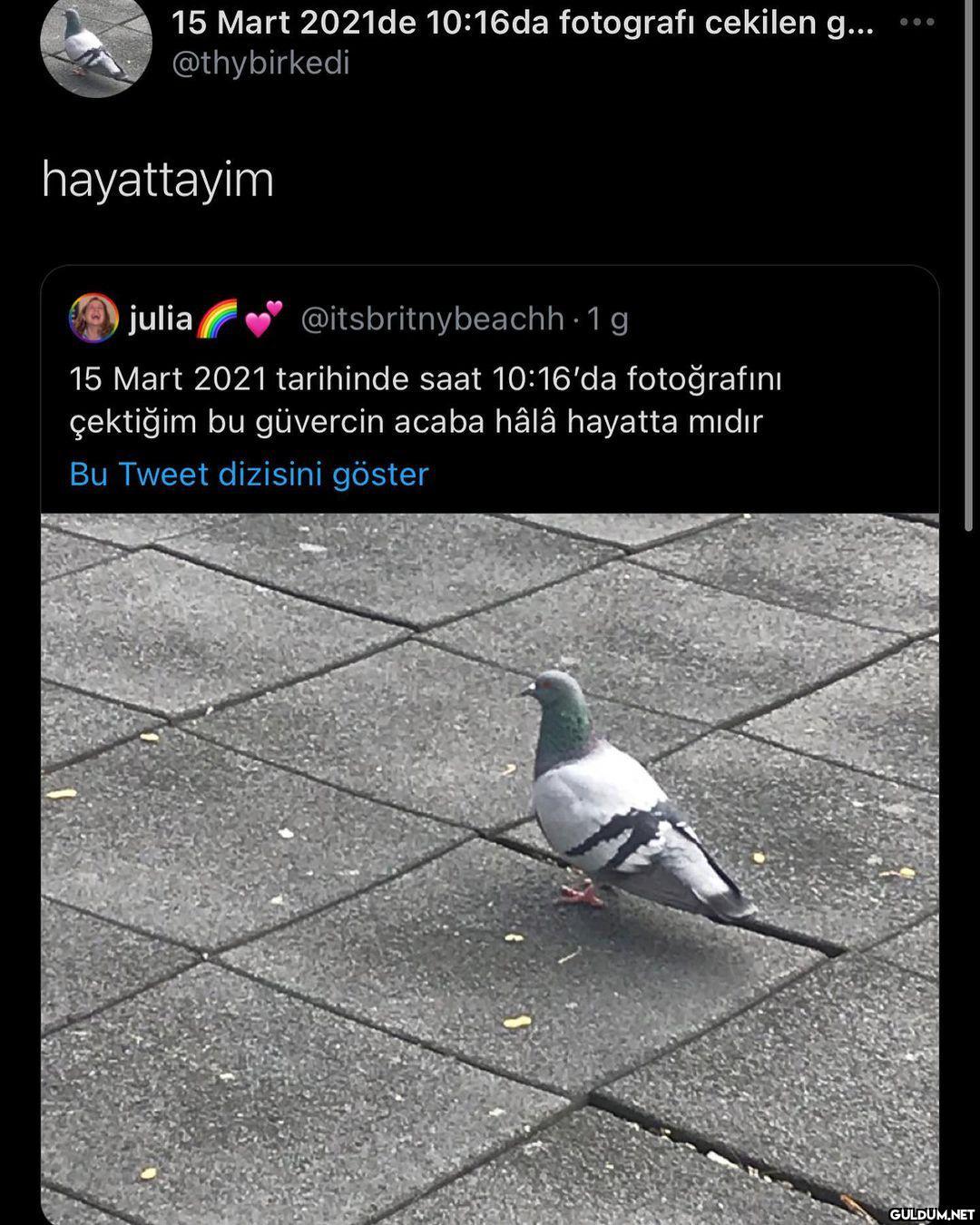 AKSHSJSGSJAHAN  15 Mart...
