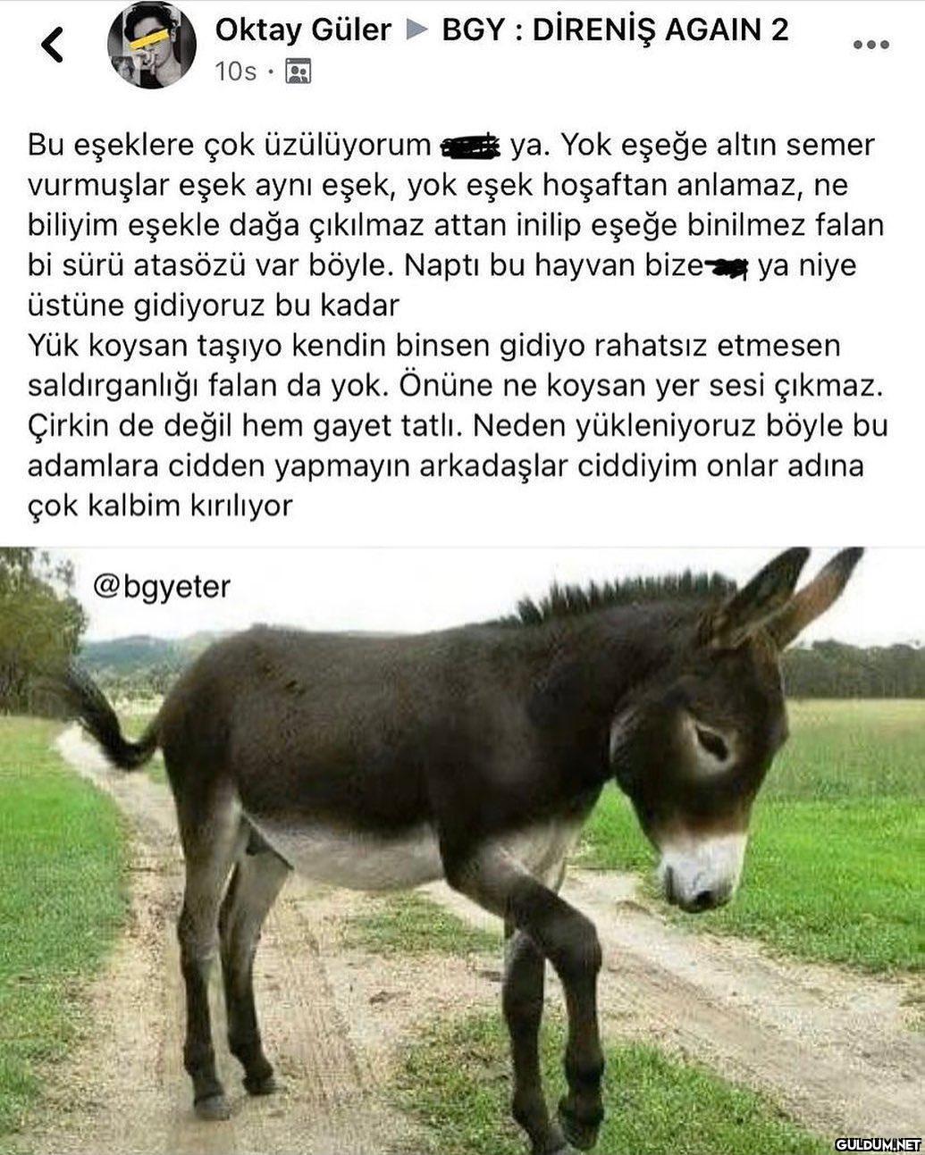 Oktay Güler BGY : DİRENİŞ...