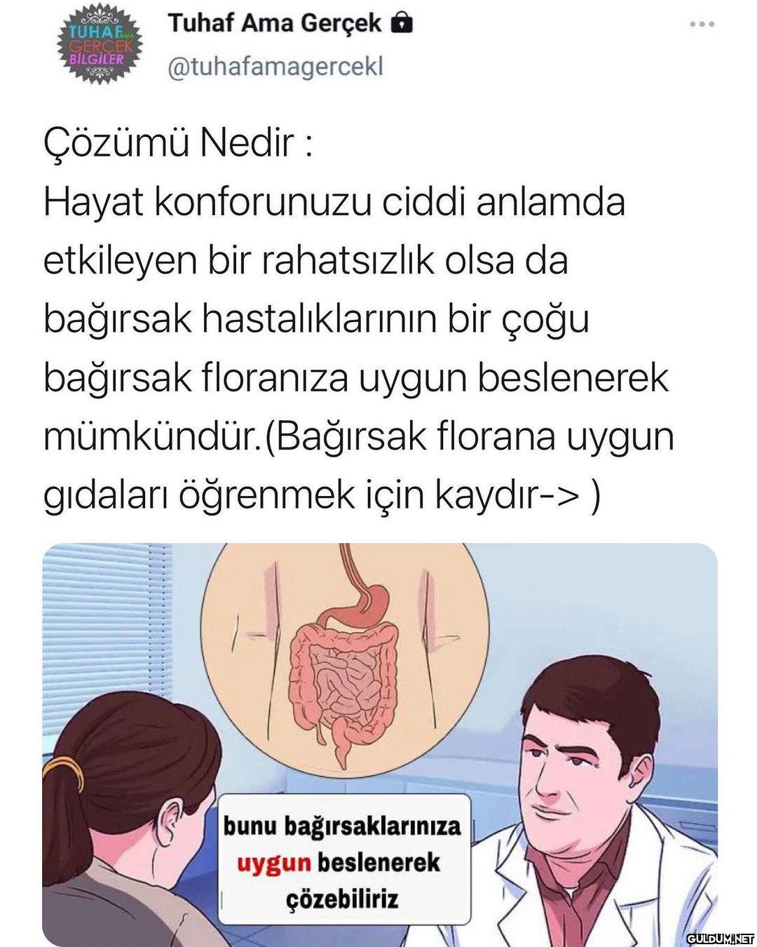 Firmanın instası ->...