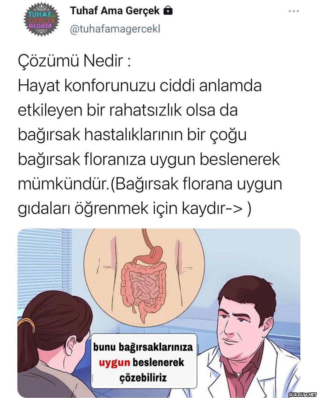 Firmanın instası ->...