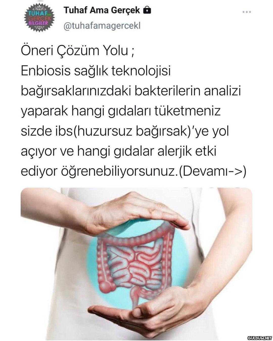 Firmanın instası ->...