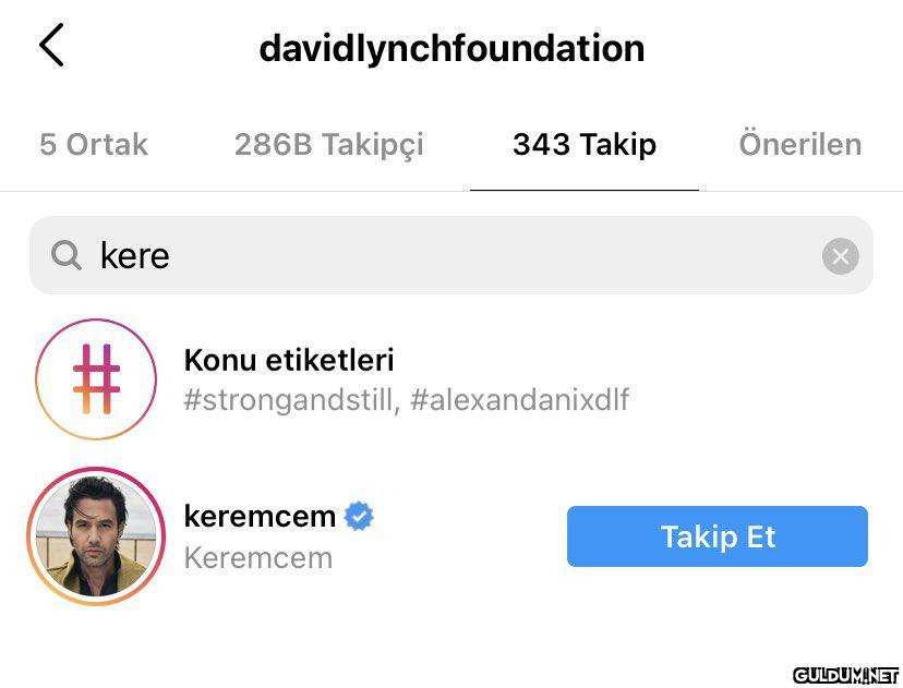 davidlynchfoundation e...