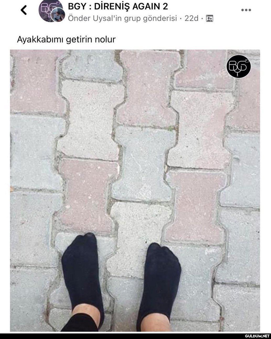 AŞFKSŞFKDLFL  BGY :...