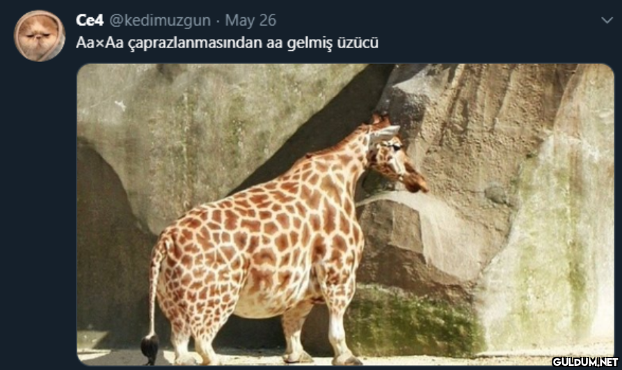 Popular post