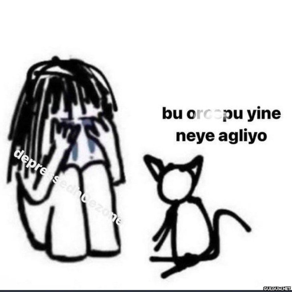 Kedim kesin böyle düşünüyo...