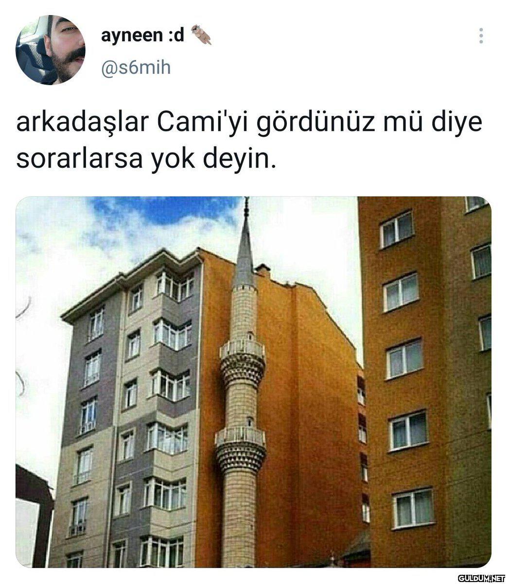 ayneen :d @s6mih...