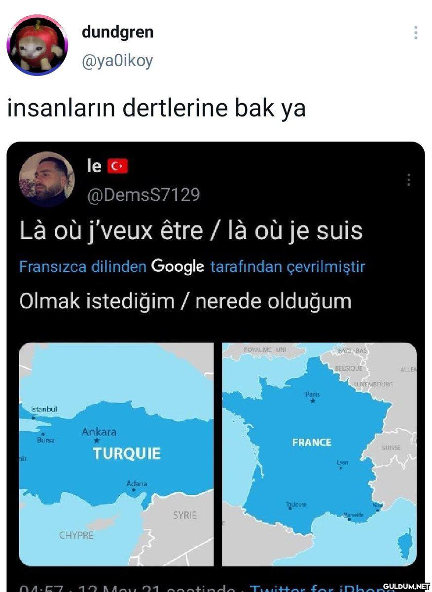 dundgren @yaOikoy...