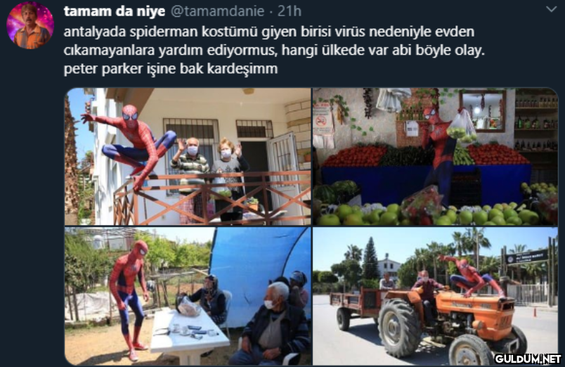 tamam da niye @tamamdanie...