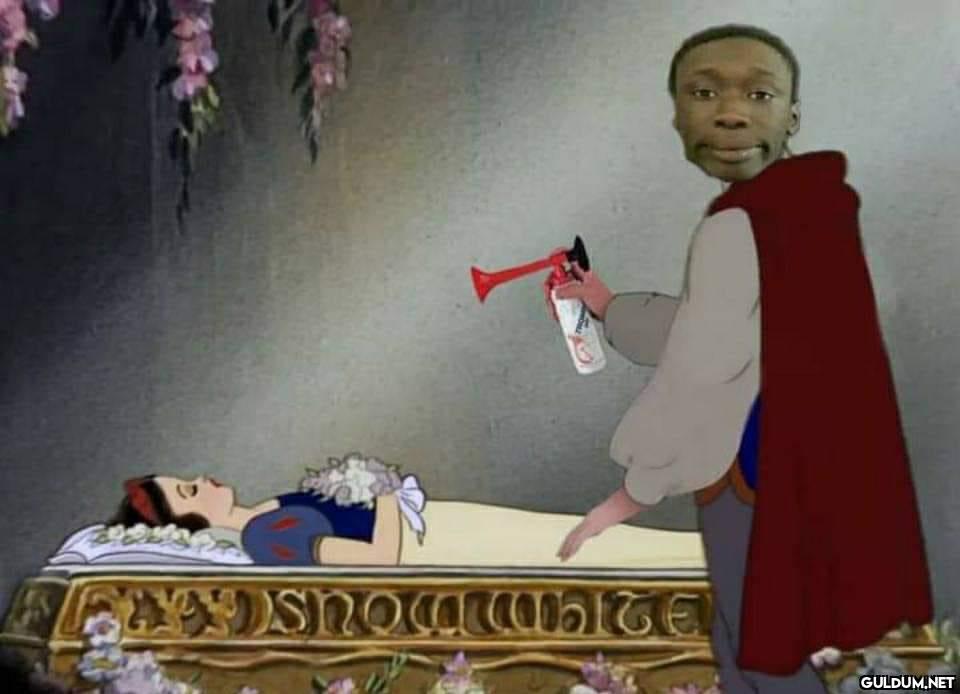 OsnoaWhTE    Kaynak
