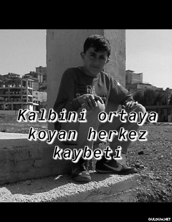 Haklısın kardeşim   ...