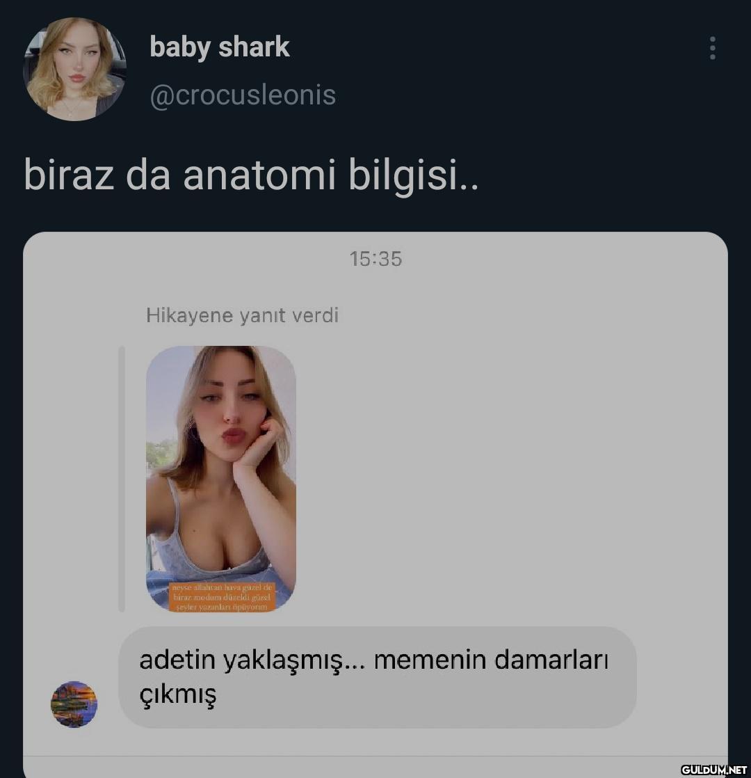 amanın anı    baby shark...