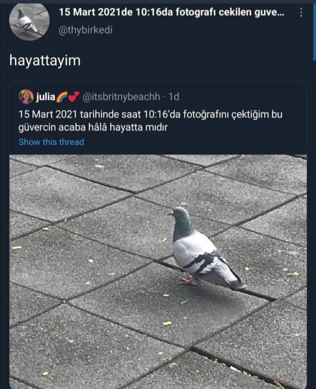 15 Mart 2021 tarihinde...