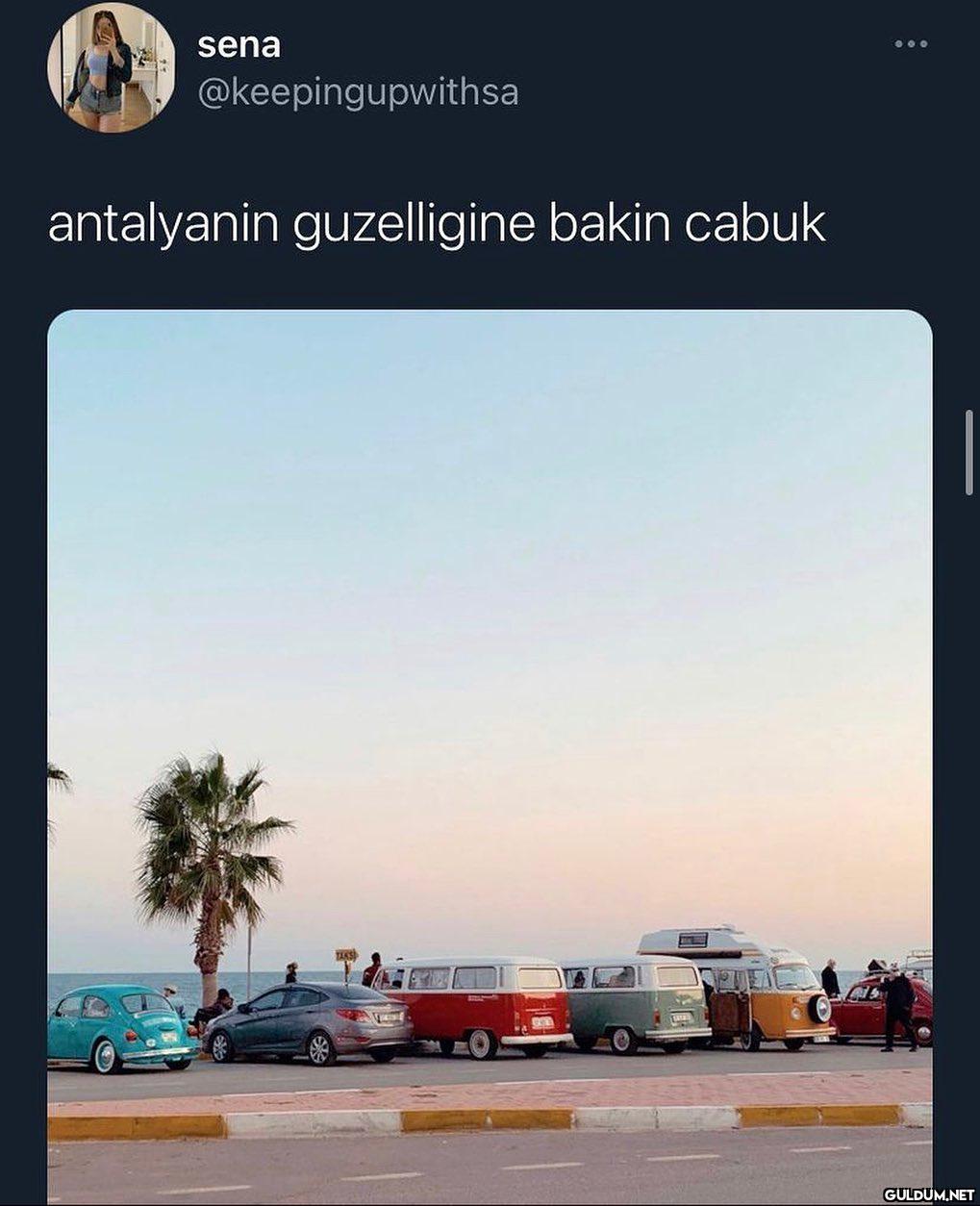 fotoğrafın güzelliğine...