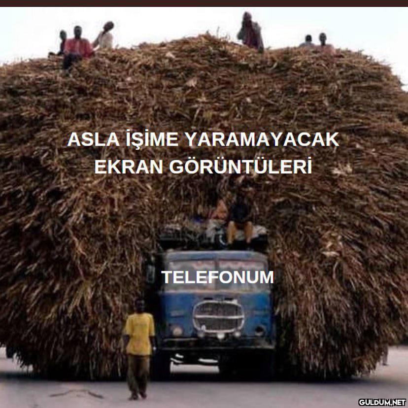 hastalık işi  ASLA İŞİME...