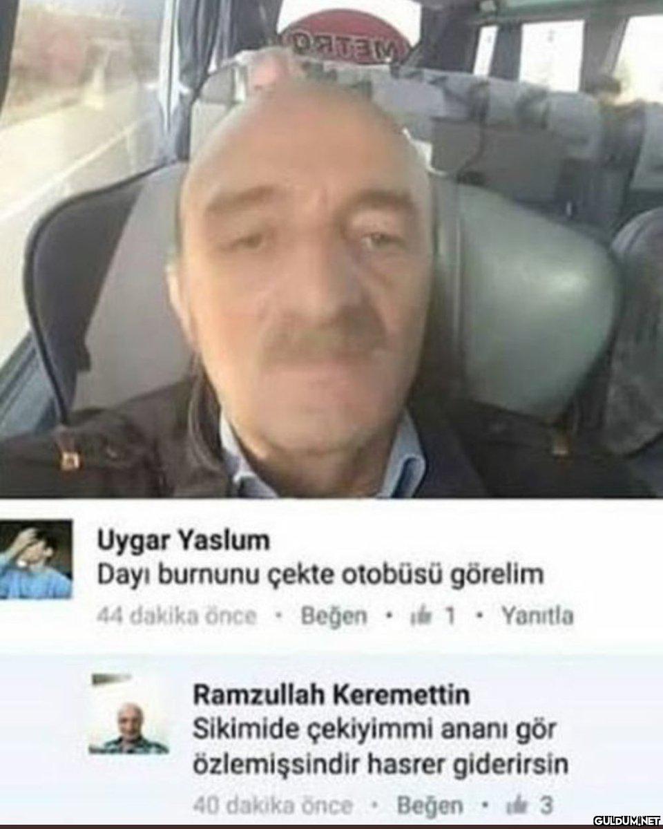 TEK GÖRSELDE MİZAH...