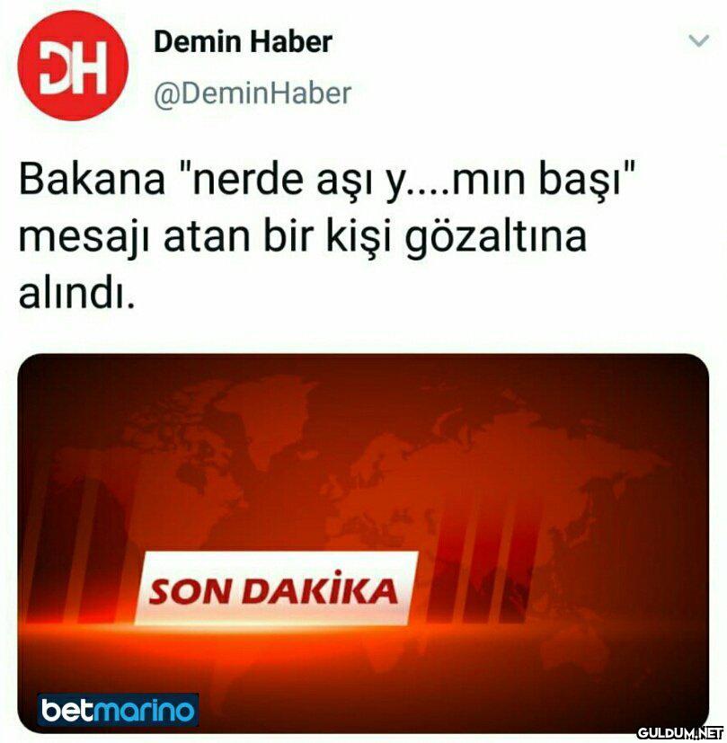 TEK GÖRSELDE MİZAH...