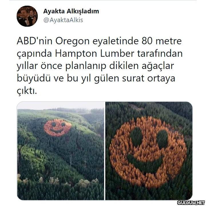 Ayakta Alkışladım...